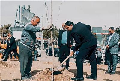 Planting 600 saplings in the Special Economic Zone and Payam International Airport